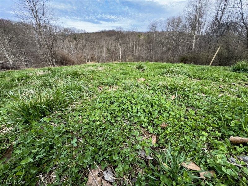 805 Daugherty Road, Stockport, OH 43787 Photo 34