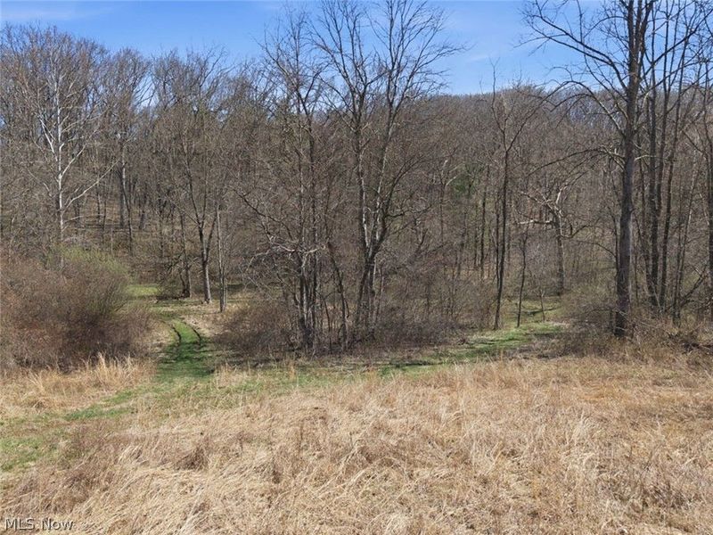 805 Daugherty Road, Stockport, OH 43787 Photo 36