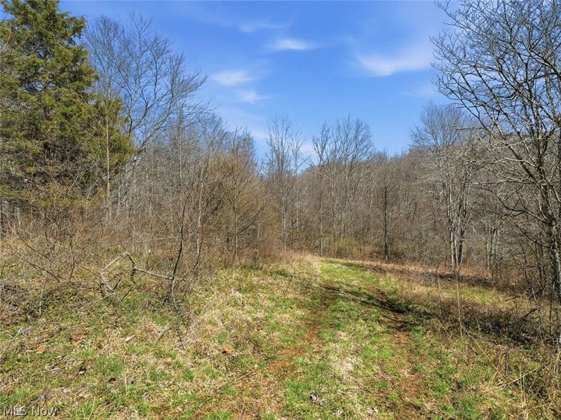 805 Daugherty Road, Stockport, OH 43787 Photo 37