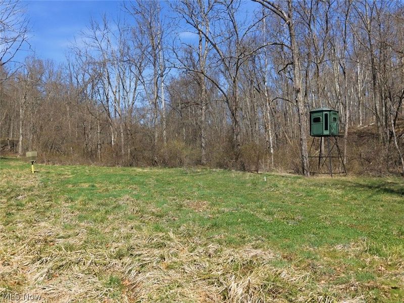 805 Daugherty Road, Stockport, OH 43787 Photo 39