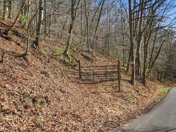 0 Guthries Greene Road, Bulls Gap, TN 37711