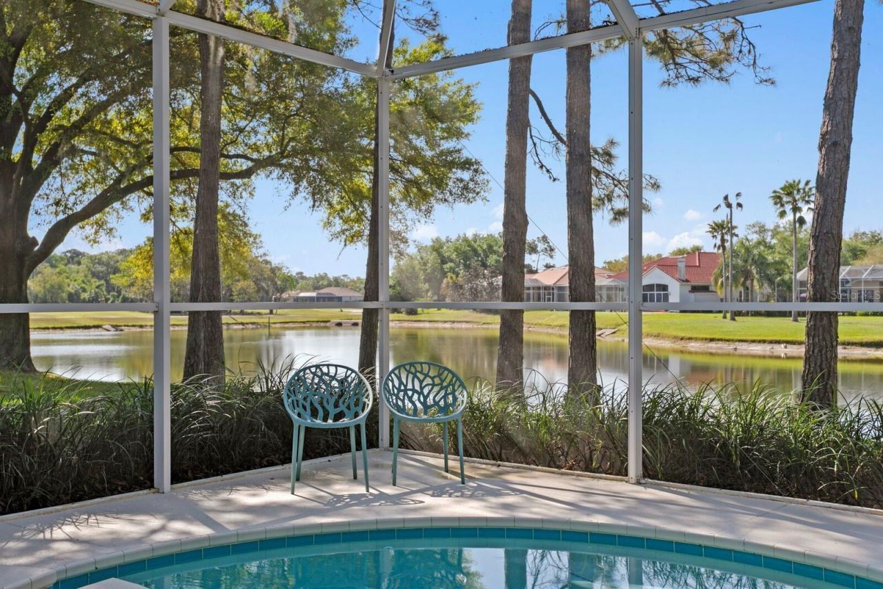 18008 Pinnacle Court, Tampa, FL 33647 Photo