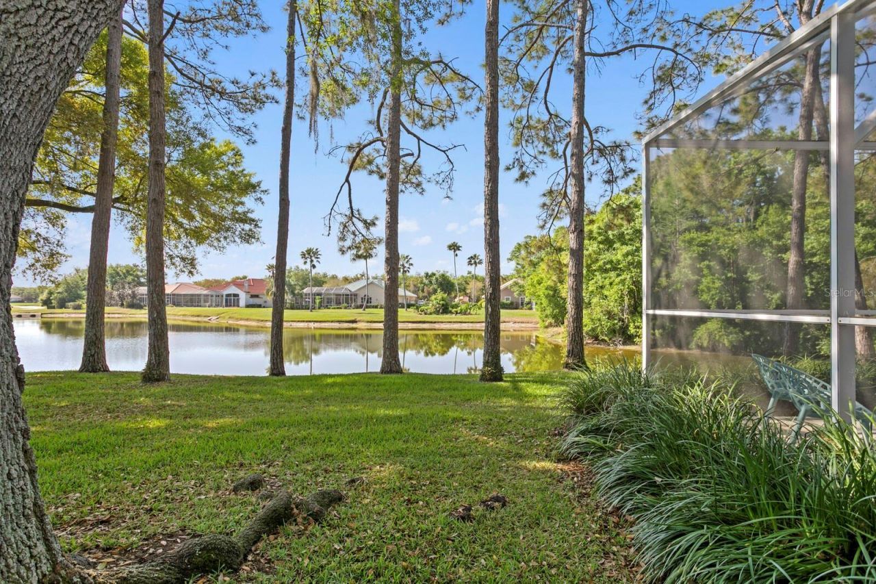 18008 Pinnacle Court, Tampa, FL 33647 Photo