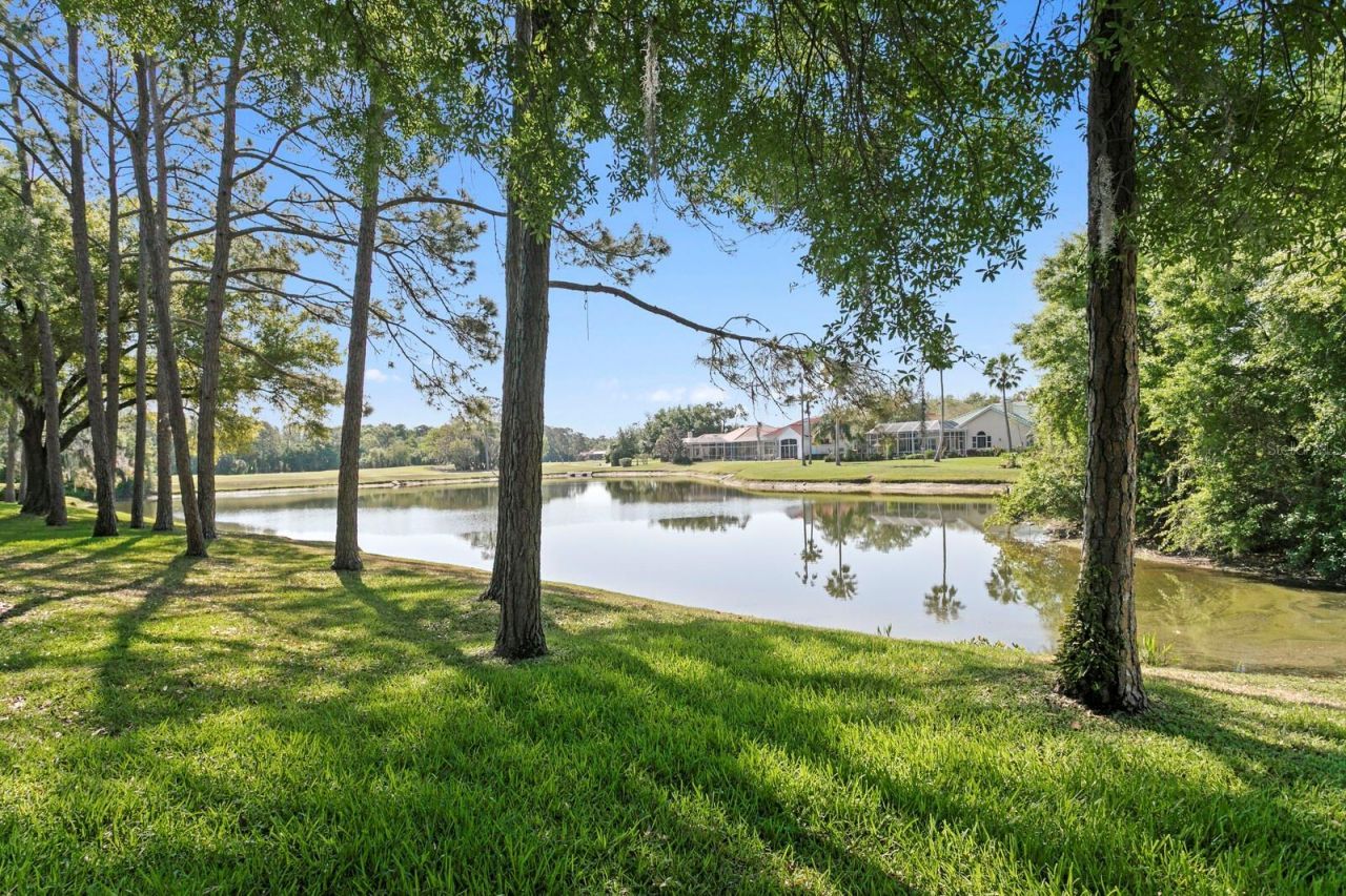 18008 Pinnacle Court, Tampa, FL 33647 Photo