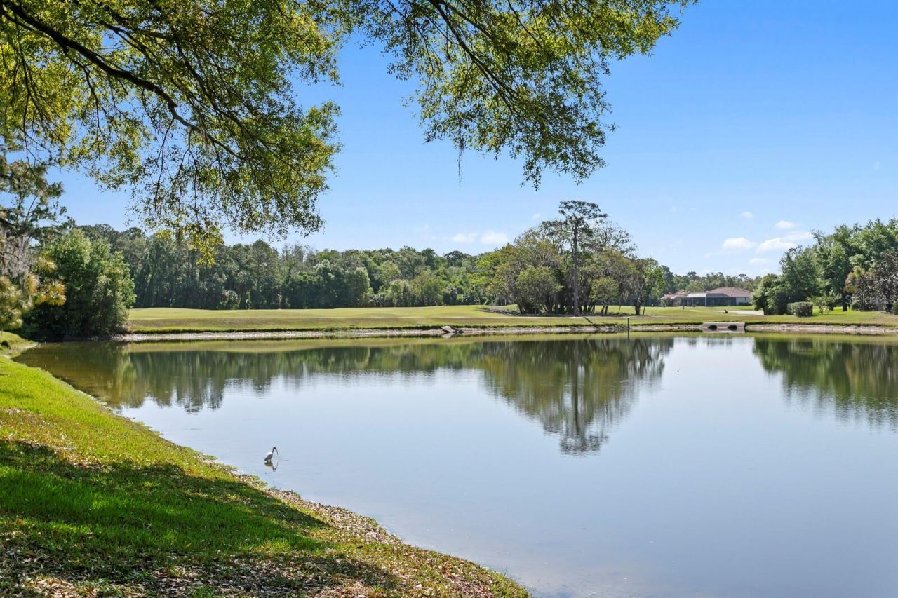 18008 Pinnacle Court, Tampa, FL 33647 Photo