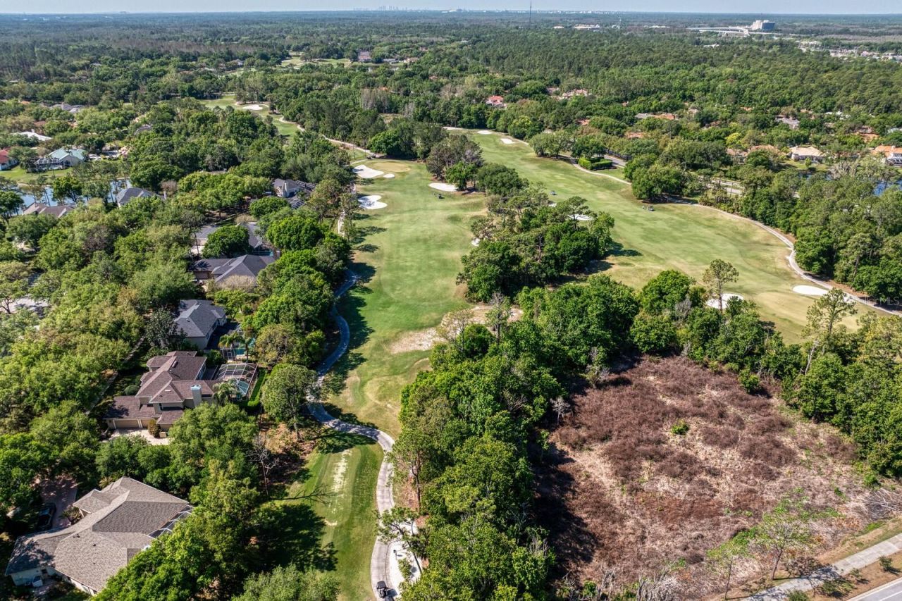 18008 Pinnacle Court, Tampa, FL 33647 Photo