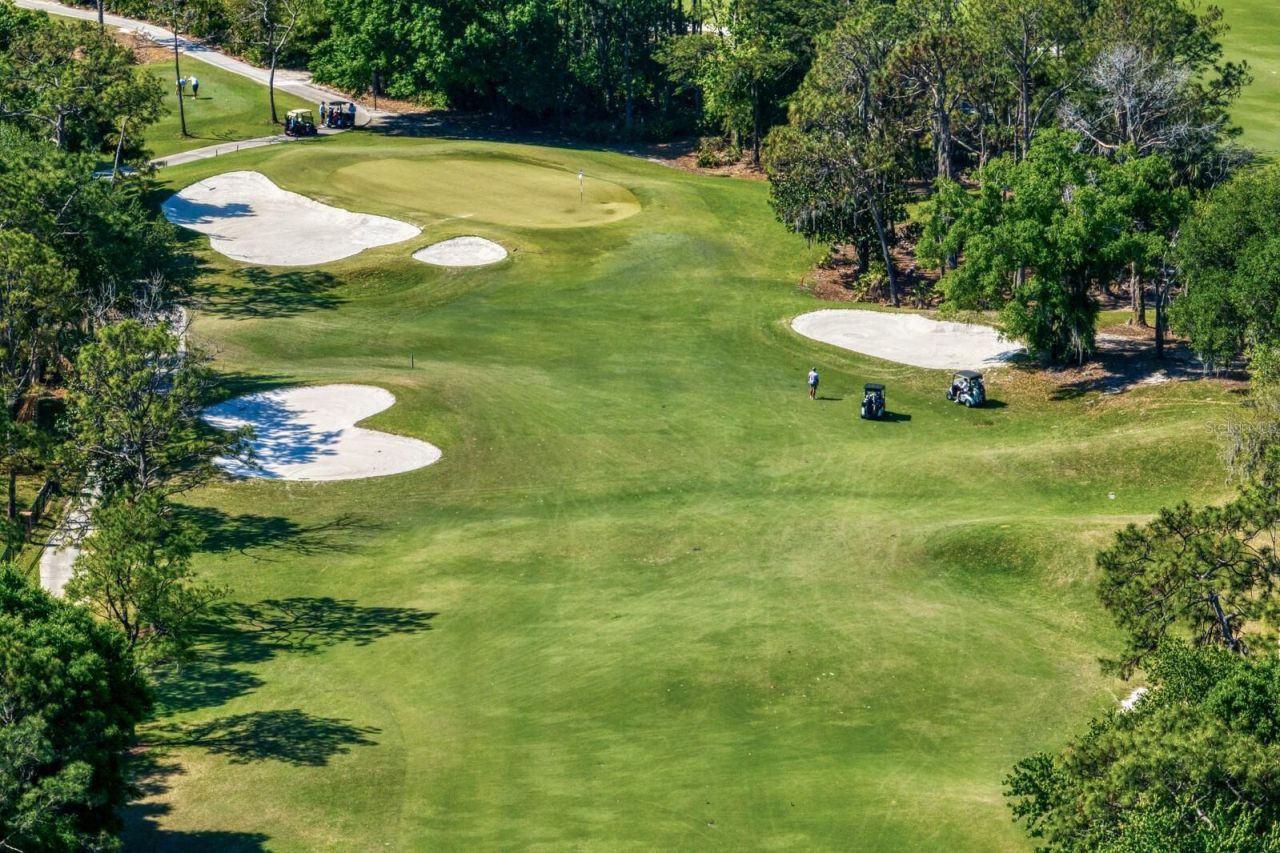 18008 Pinnacle Court, Tampa, FL 33647 Photo