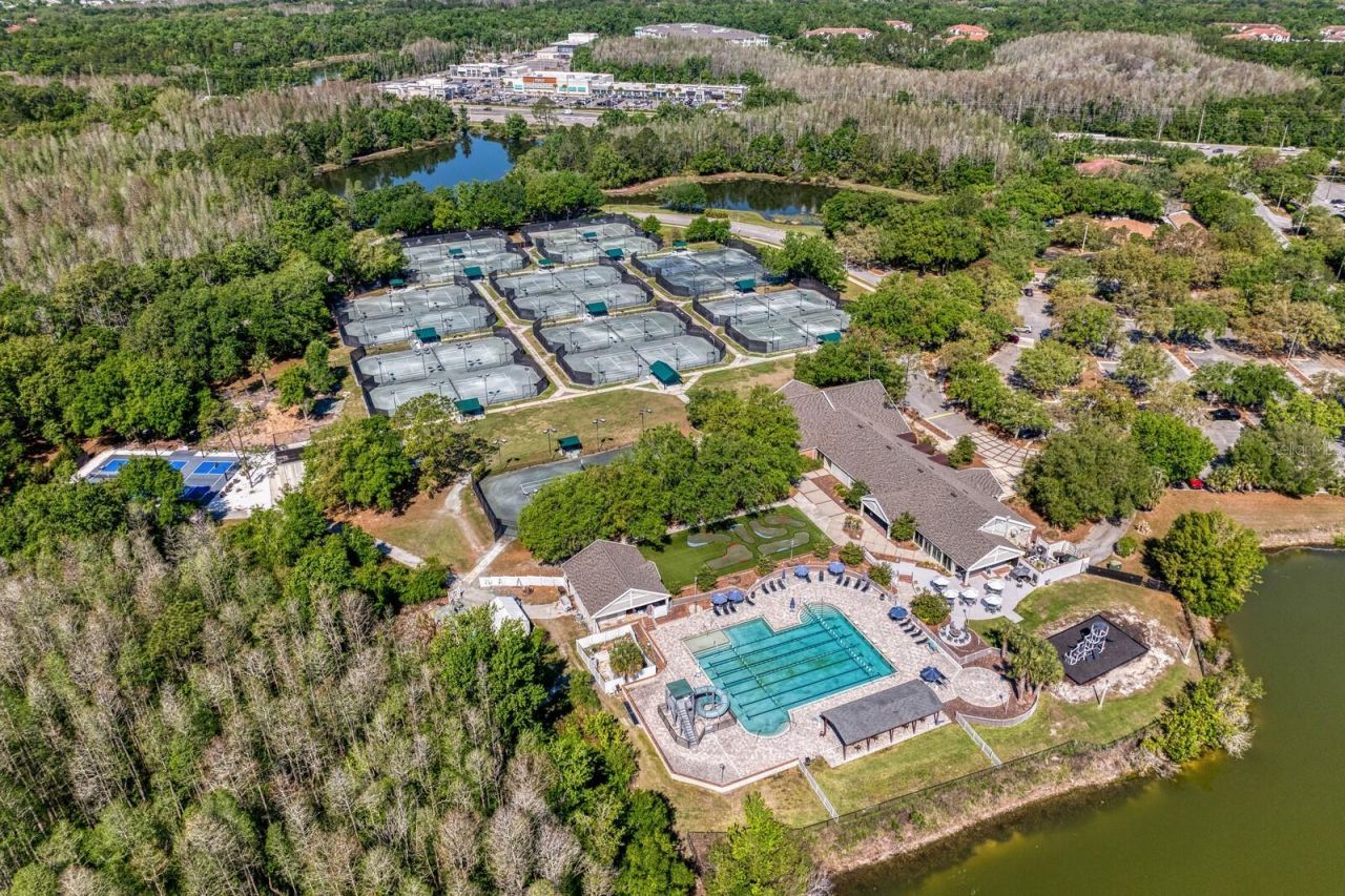 18008 Pinnacle Court, Tampa, FL 33647 Photo