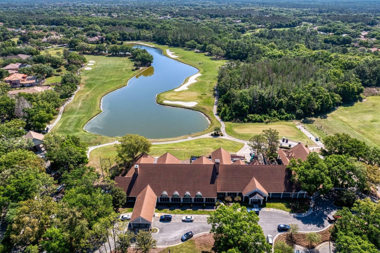 18008 Pinnacle Court, Tampa, FL 33647 Photo