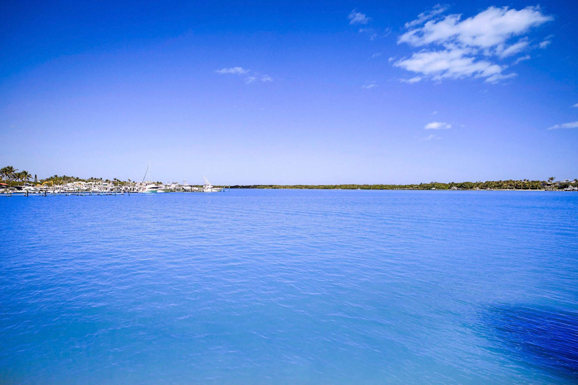 300 Intracoastal Place, Unit 404, Jupiter, FL 33469 Photo