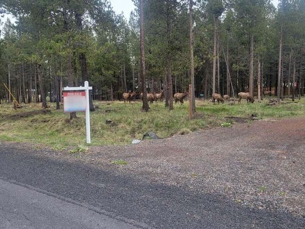 55540 Big River Drive, Bend, OR 97707