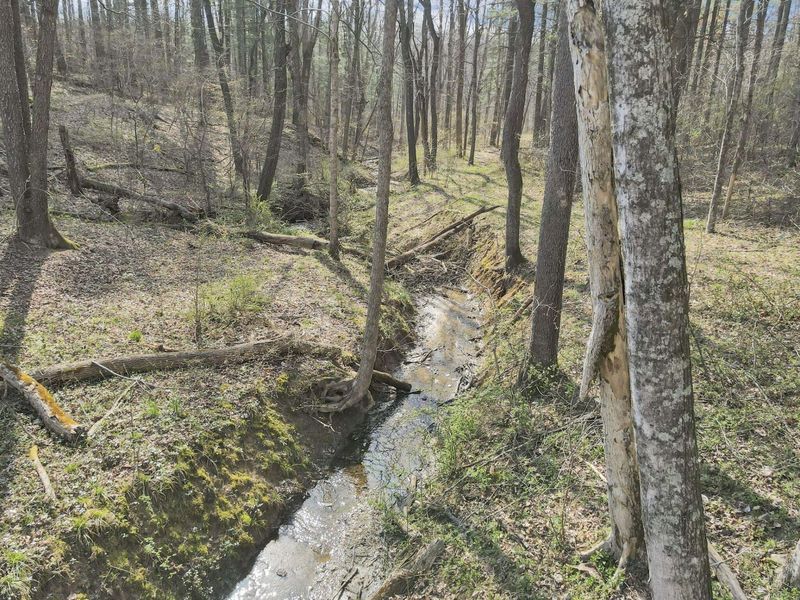 11135 Salem Road , Athens, OH 45701 Photo 71