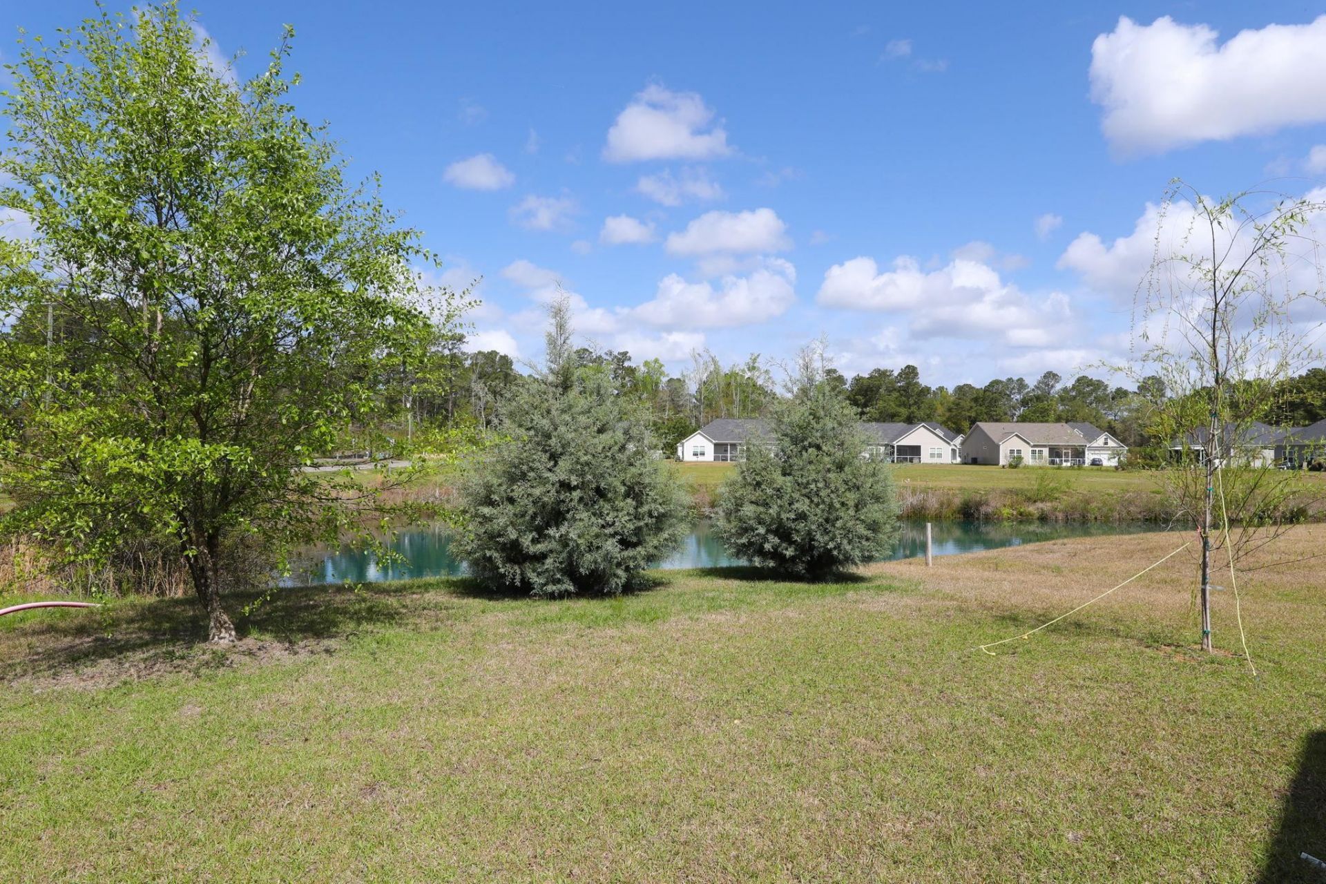 507 Whiddy Loop Photo 19