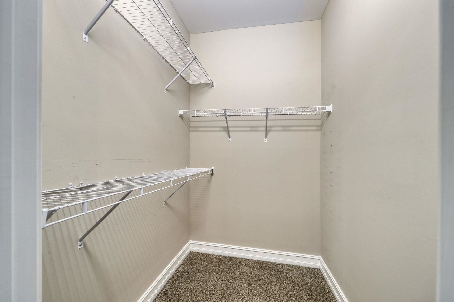 507 Whiddy Loop Photo 30