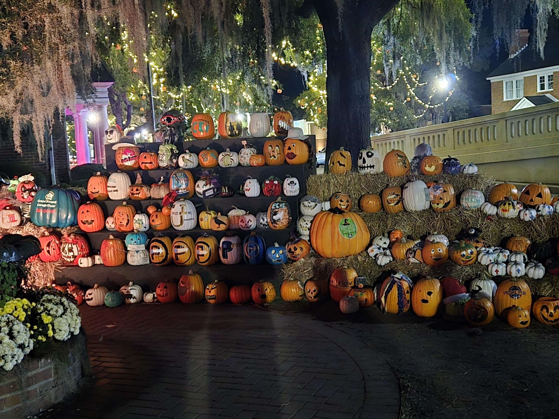 507 Whiddy Loop Photo 58