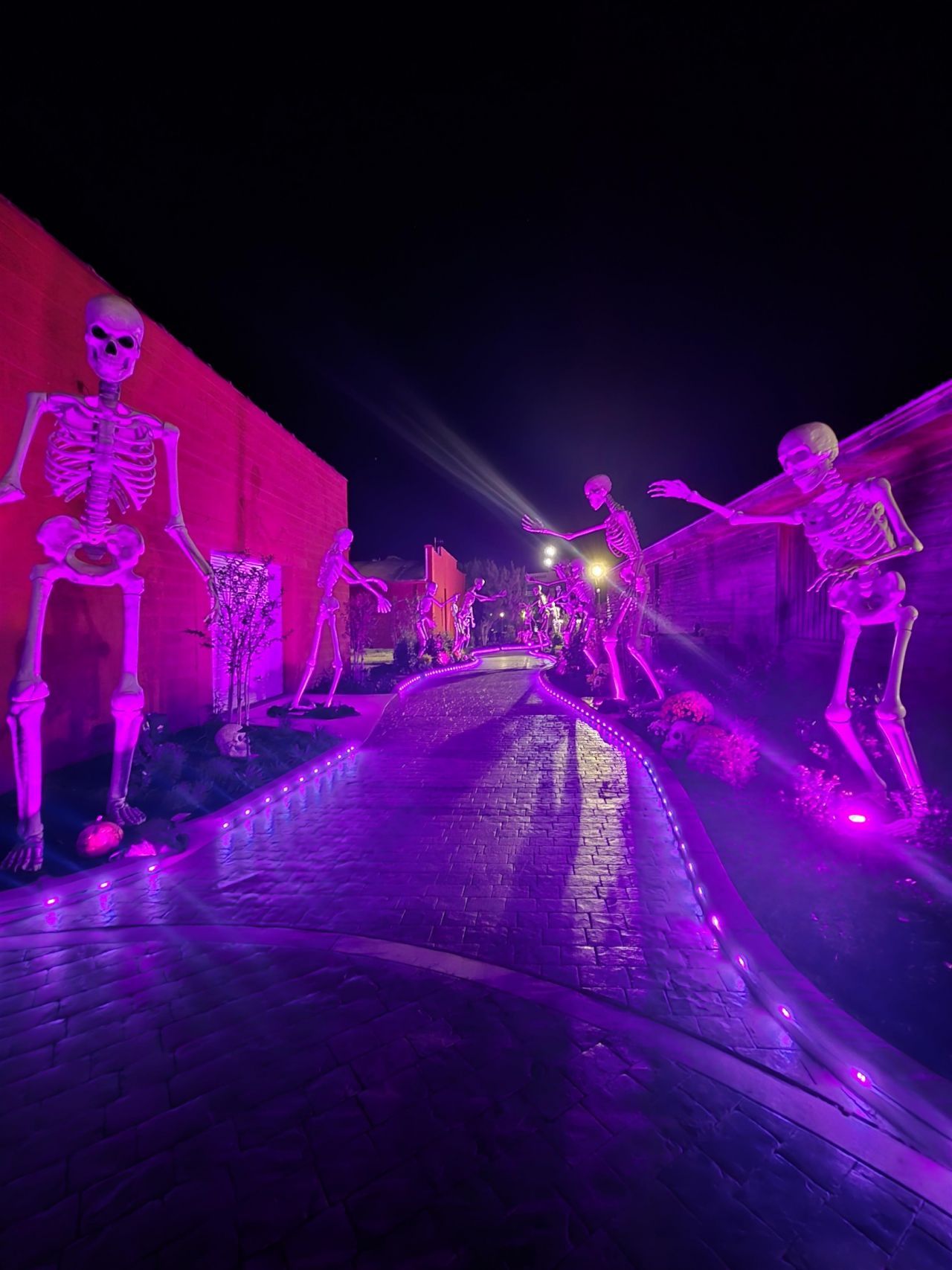 507 Whiddy Loop Photo 59