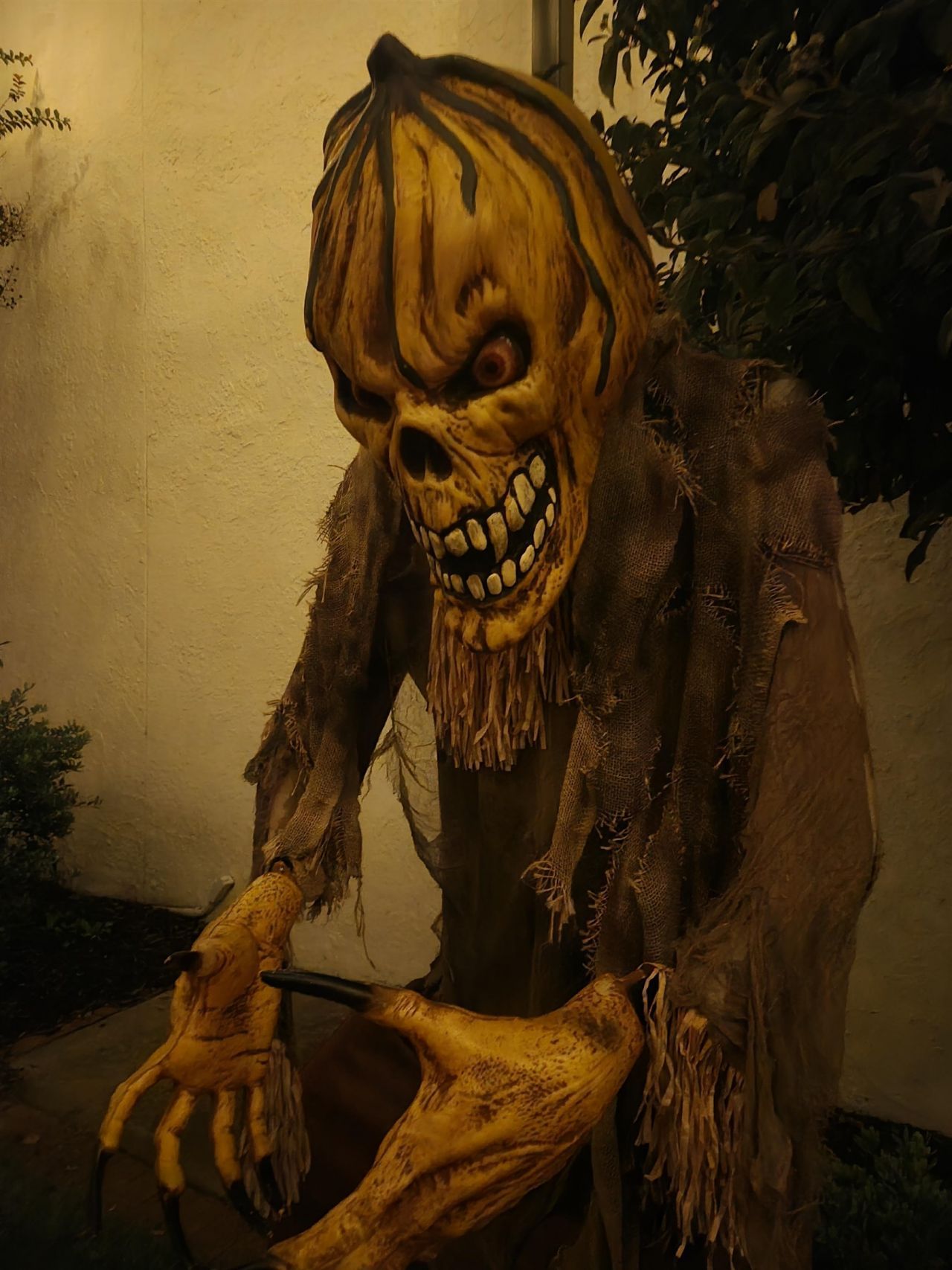 507 Whiddy Loop Photo 60