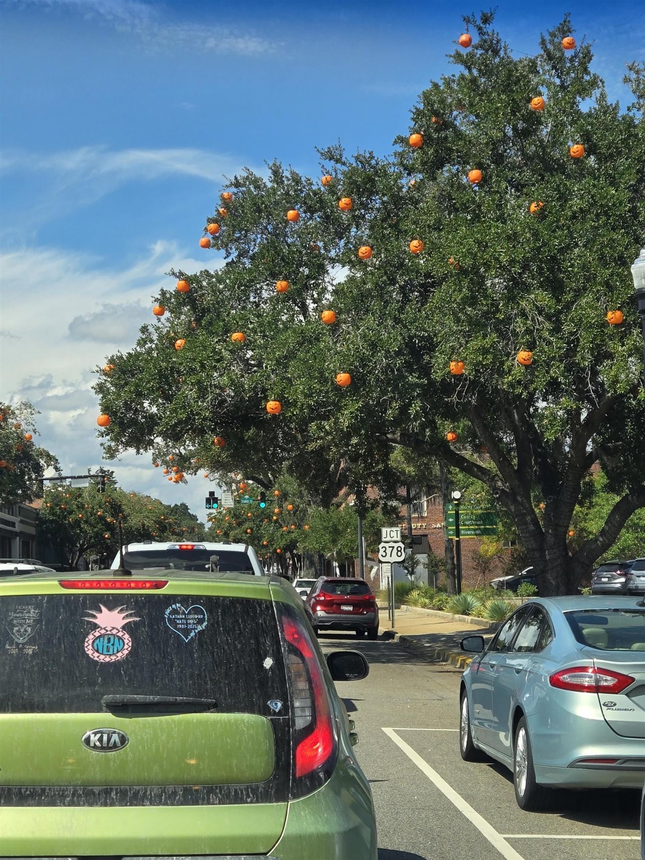 507 Whiddy Loop Photo 62