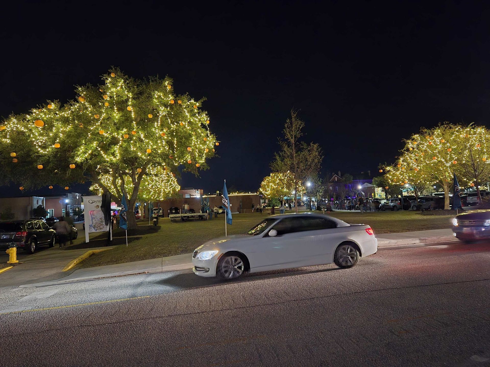 507 Whiddy Loop Photo 64