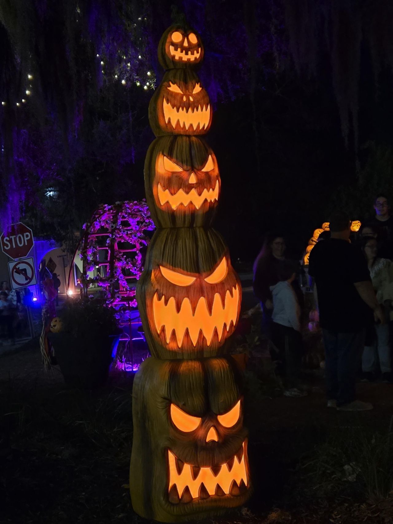 507 Whiddy Loop Photo 65