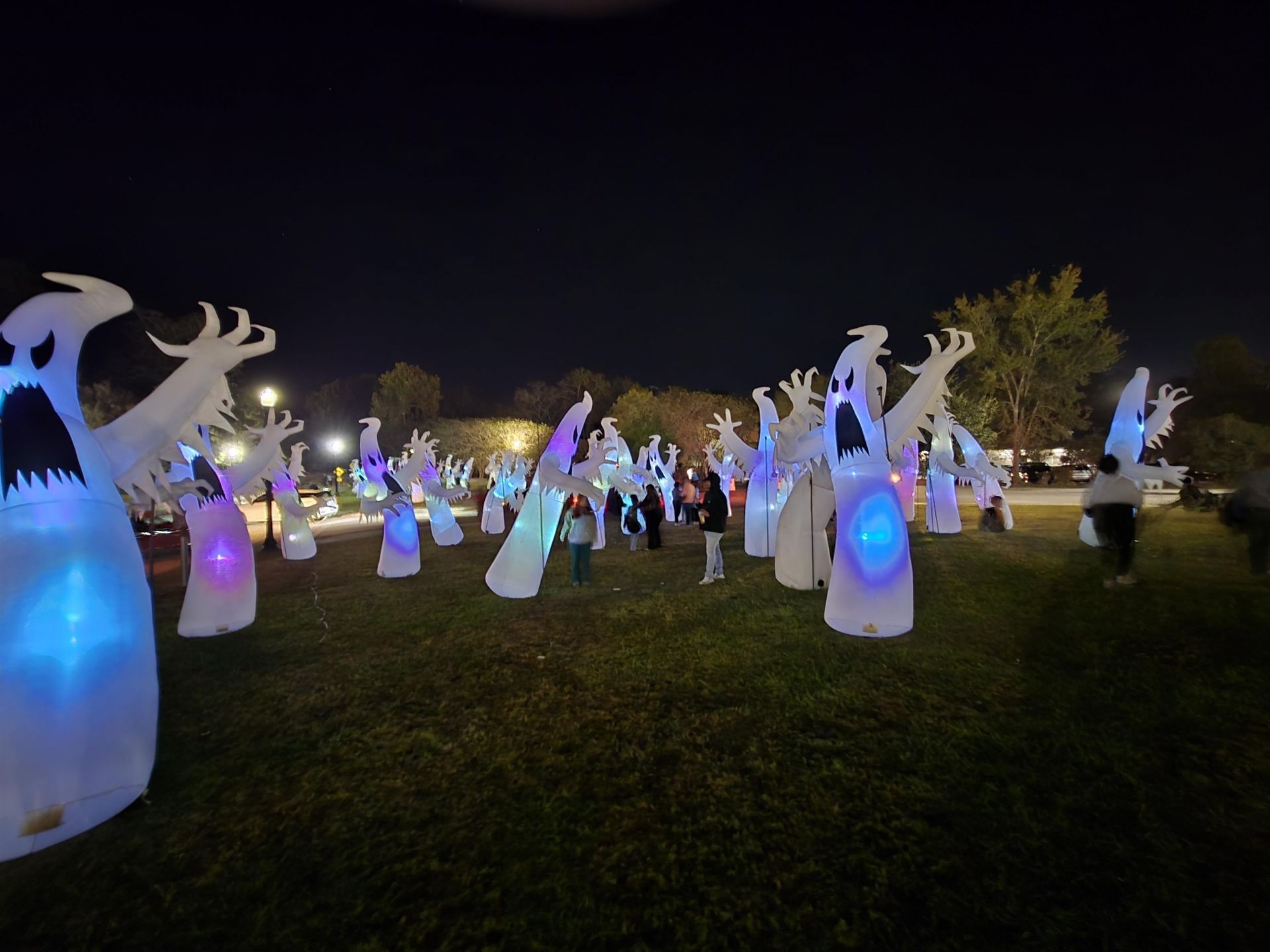 507 Whiddy Loop Photo 66