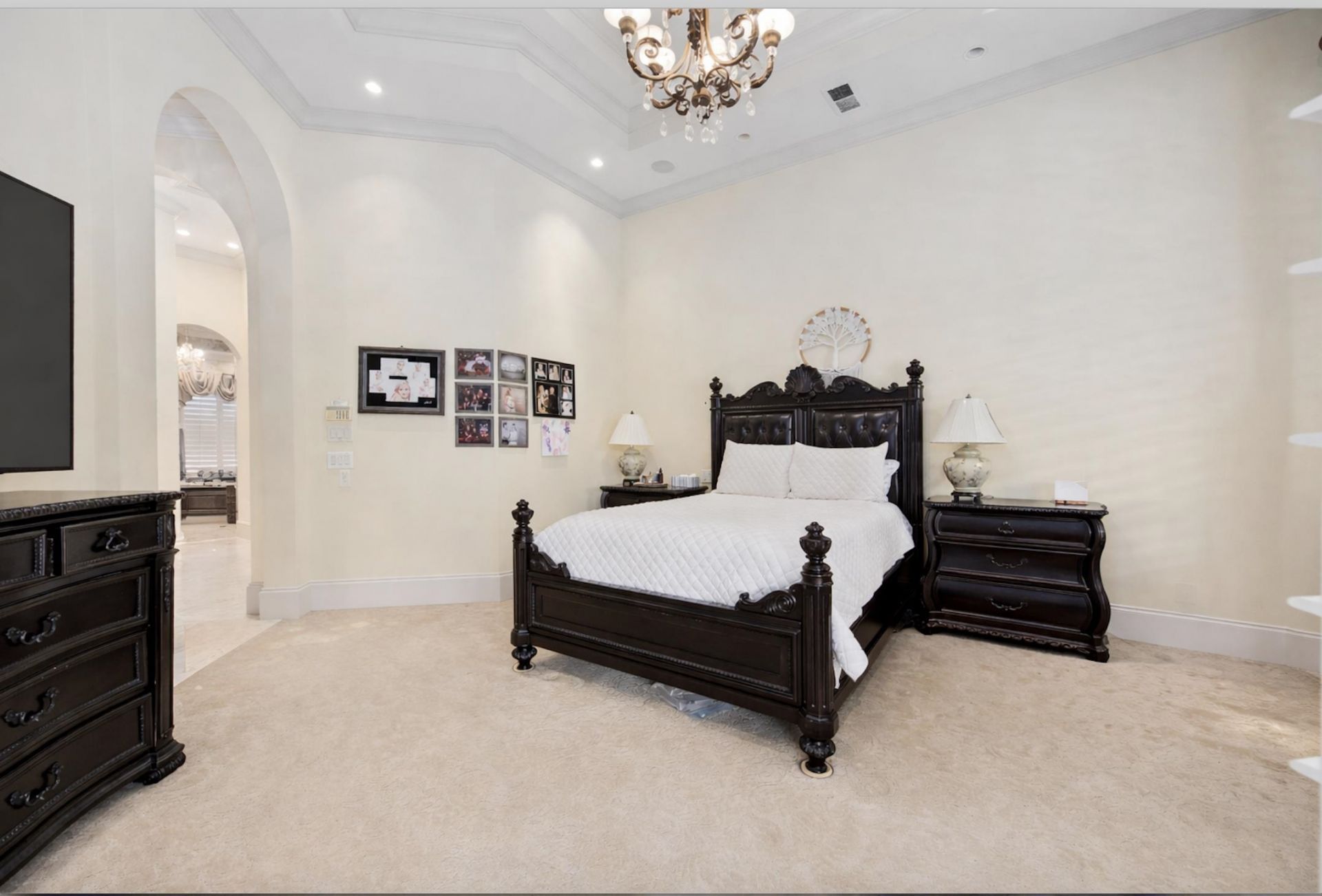 8969 Belle Verde Ct.  Photo 14