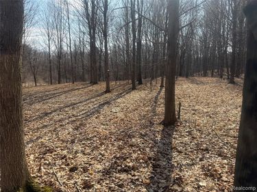 V/L Fulton , Fremont Twp, MI 48744