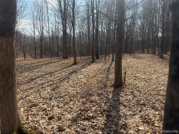 V/L Fulton , Fremont Twp, MI 48744