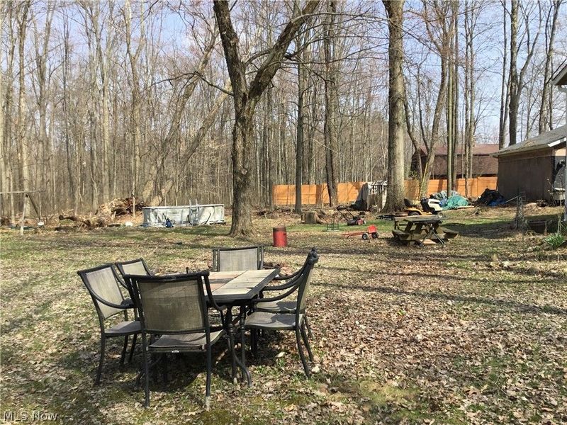 11777 Abbott Road, Hiram, OH 44234 Photo 16