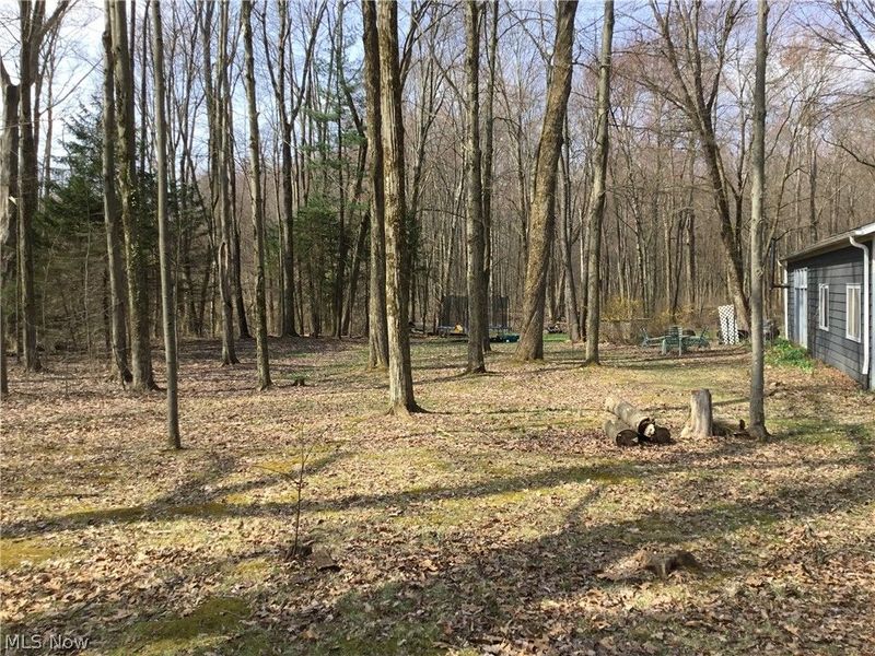 11777 Abbott Road, Hiram, OH 44234 Photo 18