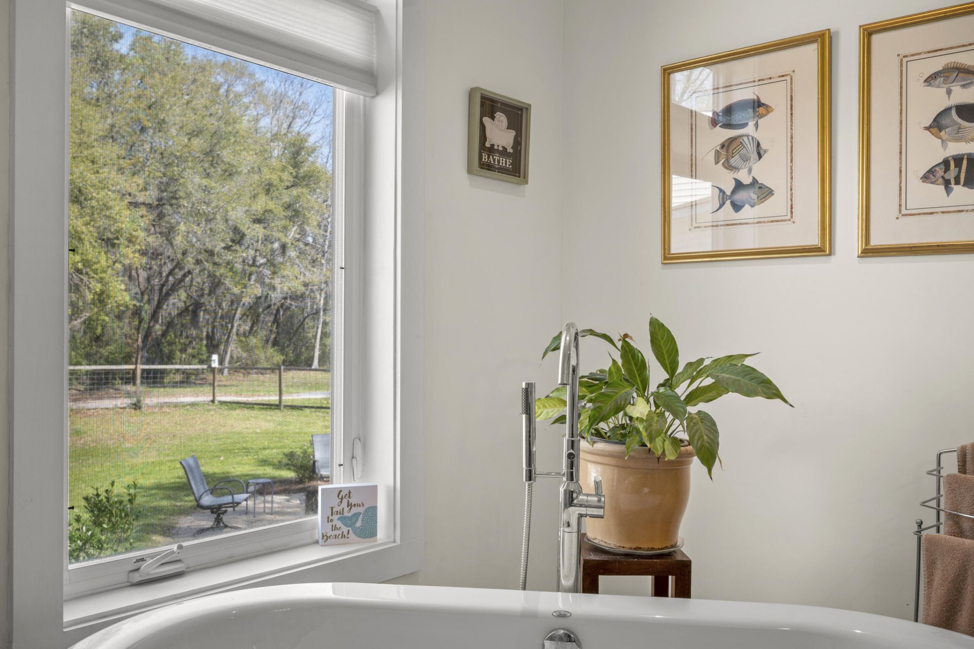 4777 Coon Club Road Photo 17