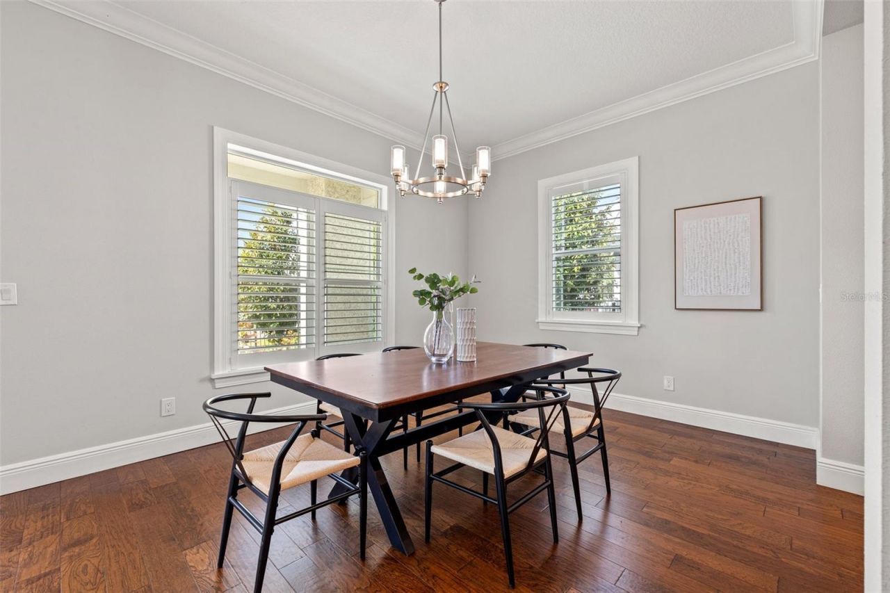 445 29th Avenue N, Saint Petersburg, FL 33704 Photo