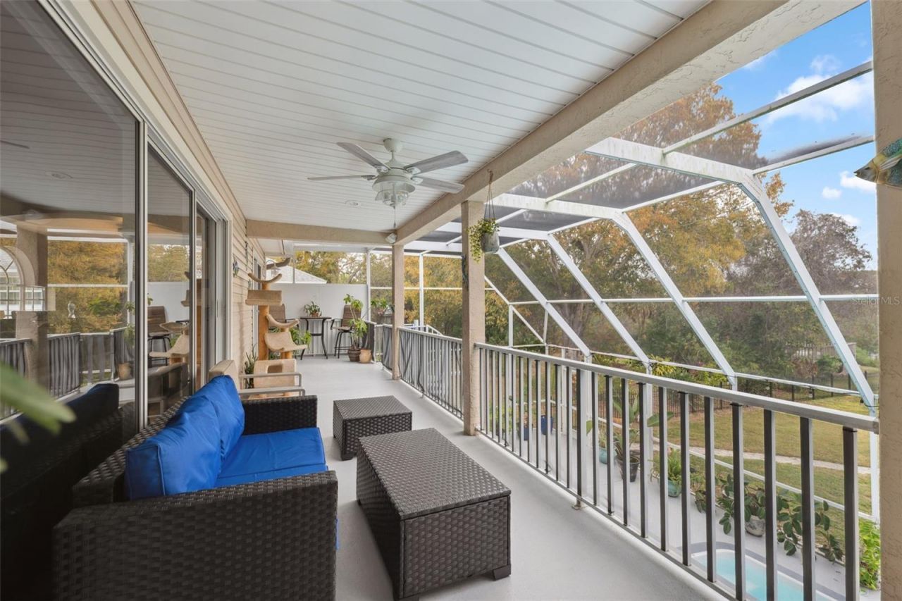 3114 Bluff Boulevard, Holiday, FL 34691 Photo