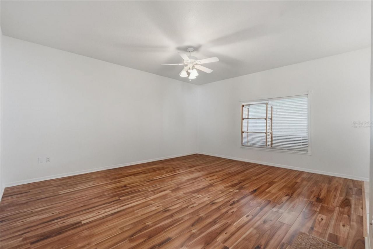 1734 Mapleleaf Boulevard, Oldsmar, FL 34677 Photo