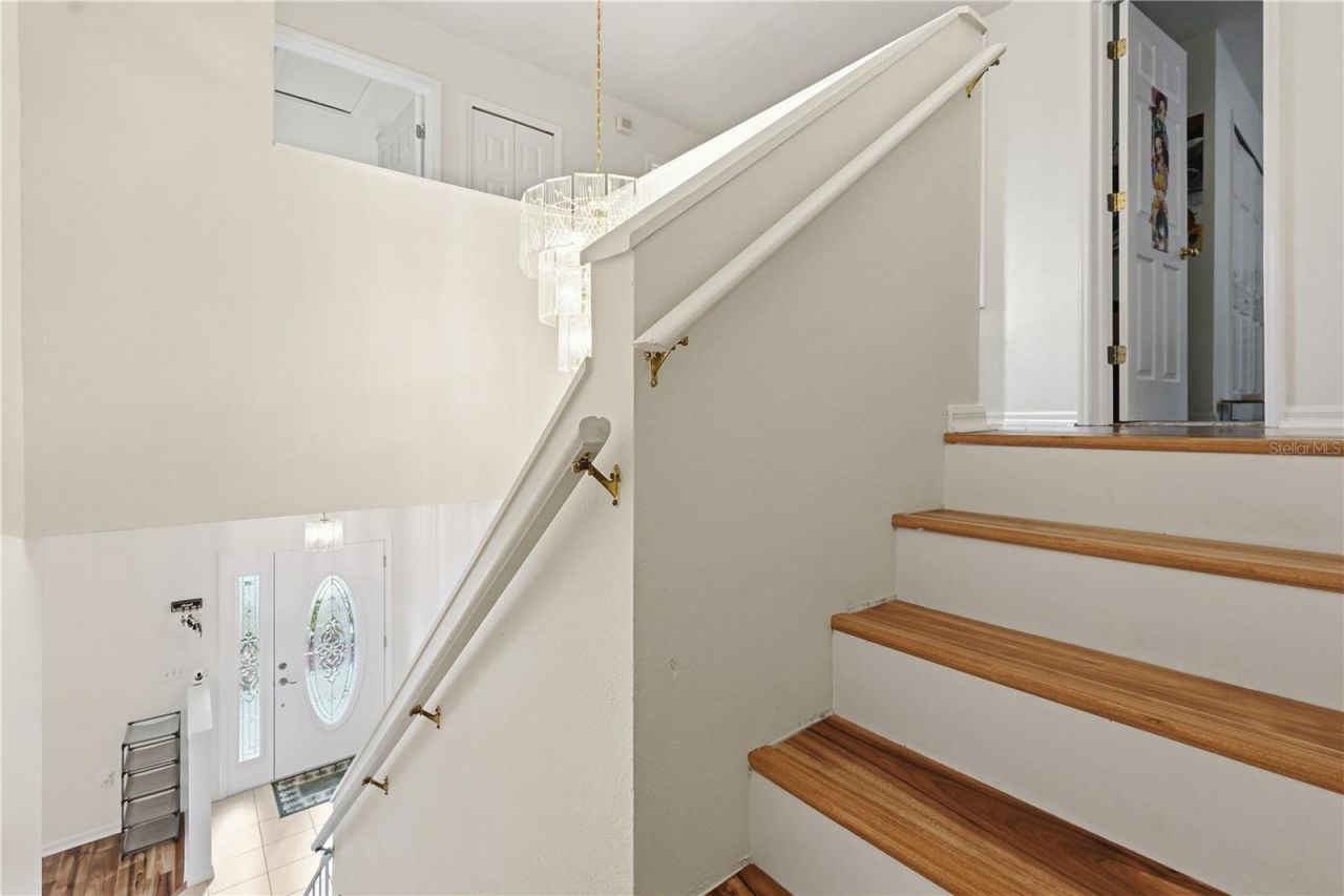 1734 Mapleleaf Boulevard, Oldsmar, FL 34677 Photo