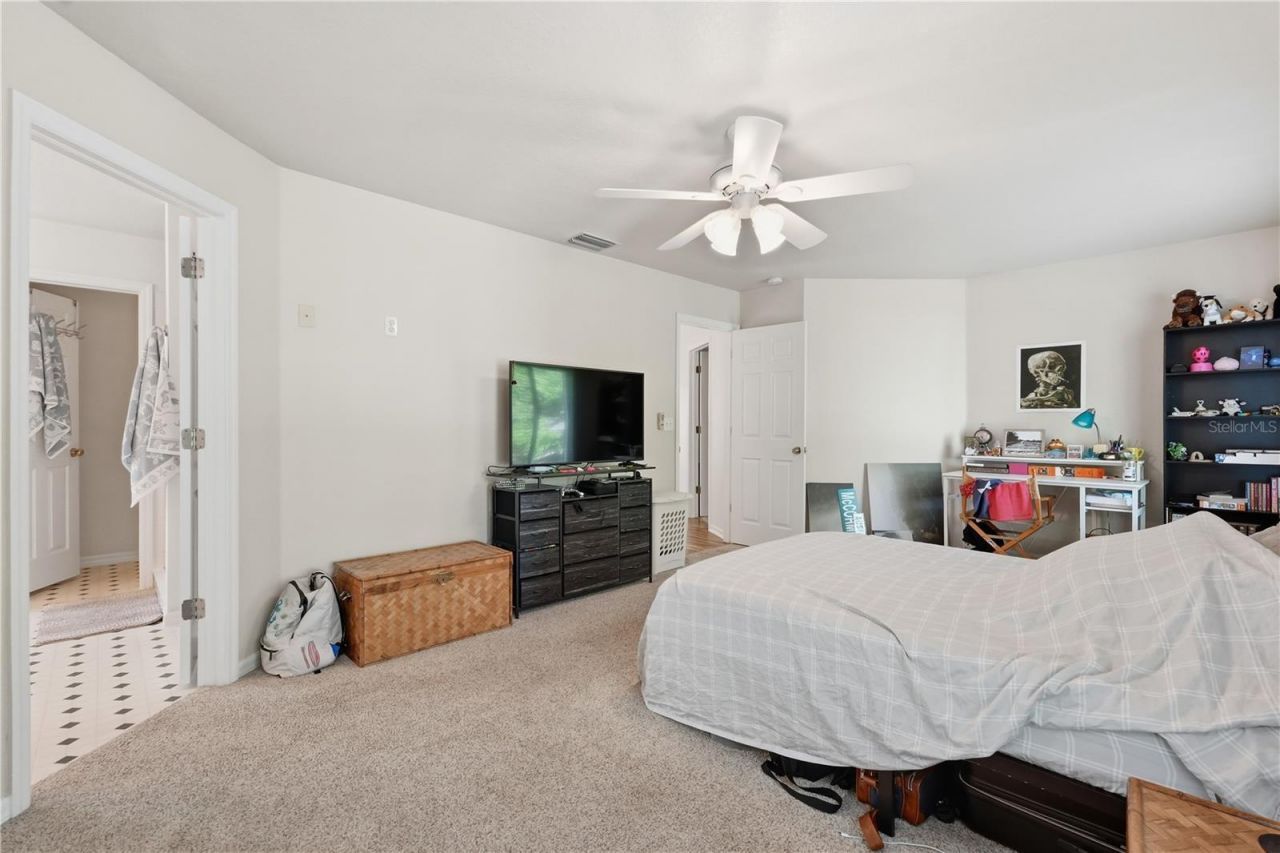 1734 Mapleleaf Boulevard, Oldsmar, FL 34677 Photo