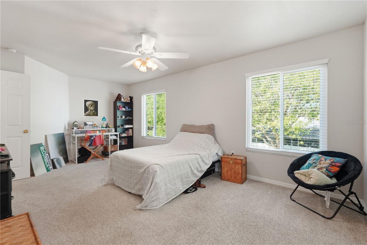 1734 Mapleleaf Boulevard, Oldsmar, FL 34677 Photo