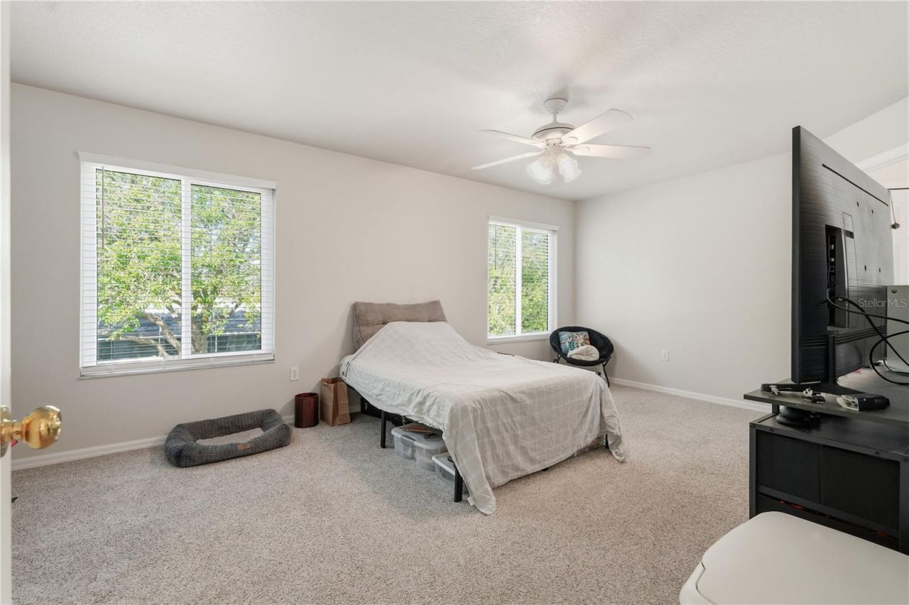 1734 Mapleleaf Boulevard, Oldsmar, FL 34677 Photo