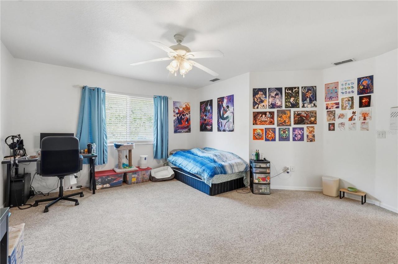 1734 Mapleleaf Boulevard, Oldsmar, FL 34677 Photo