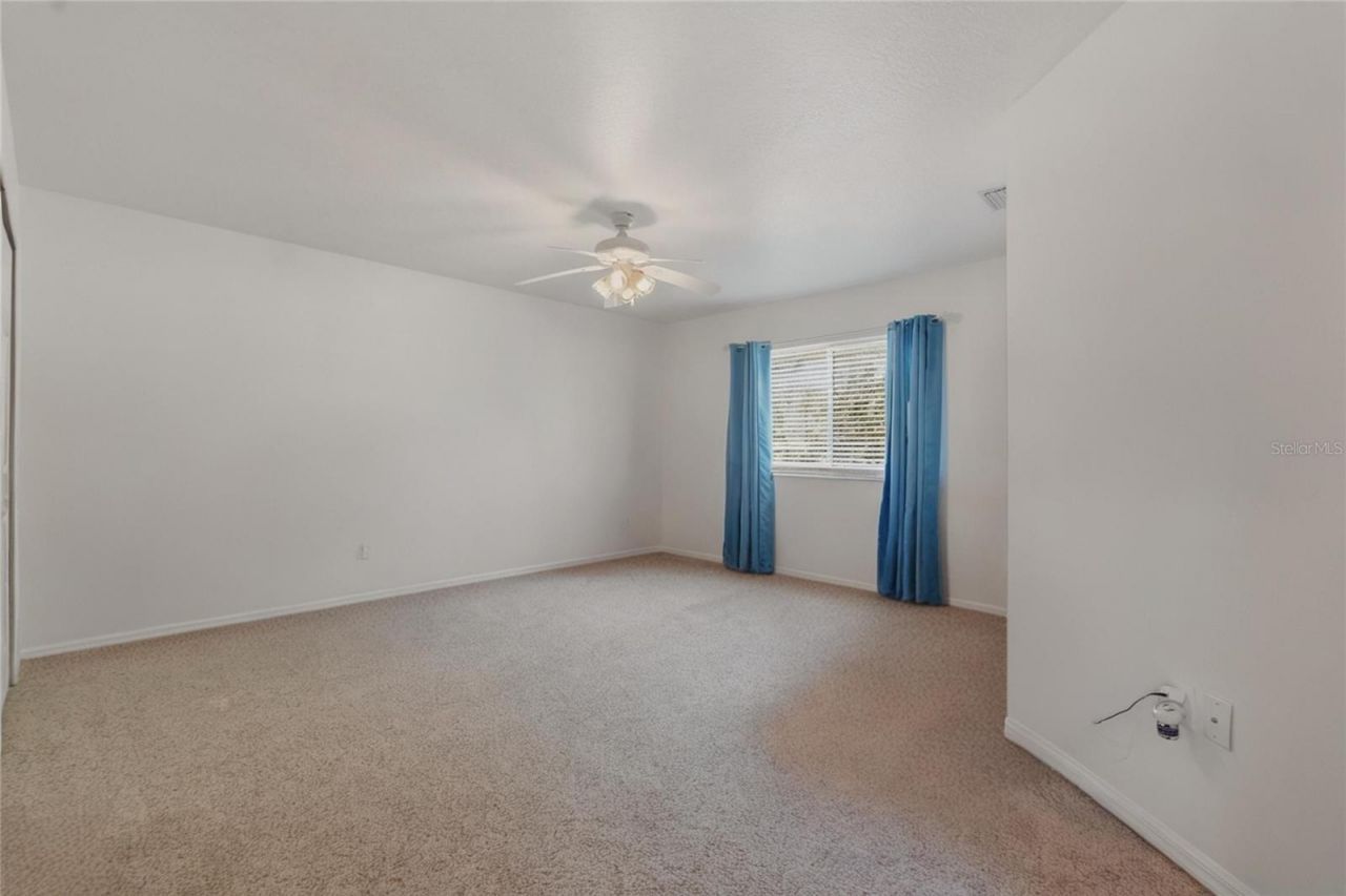 1734 Mapleleaf Boulevard, Oldsmar, FL 34677 Photo