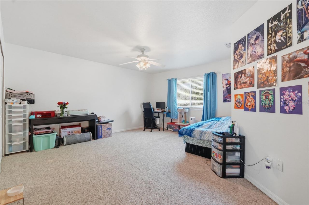 1734 Mapleleaf Boulevard, Oldsmar, FL 34677 Photo