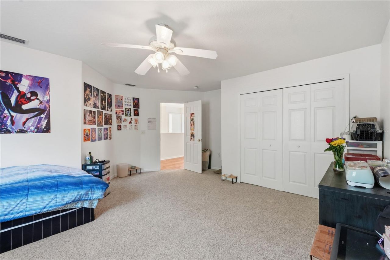 1734 Mapleleaf Boulevard, Oldsmar, FL 34677 Photo