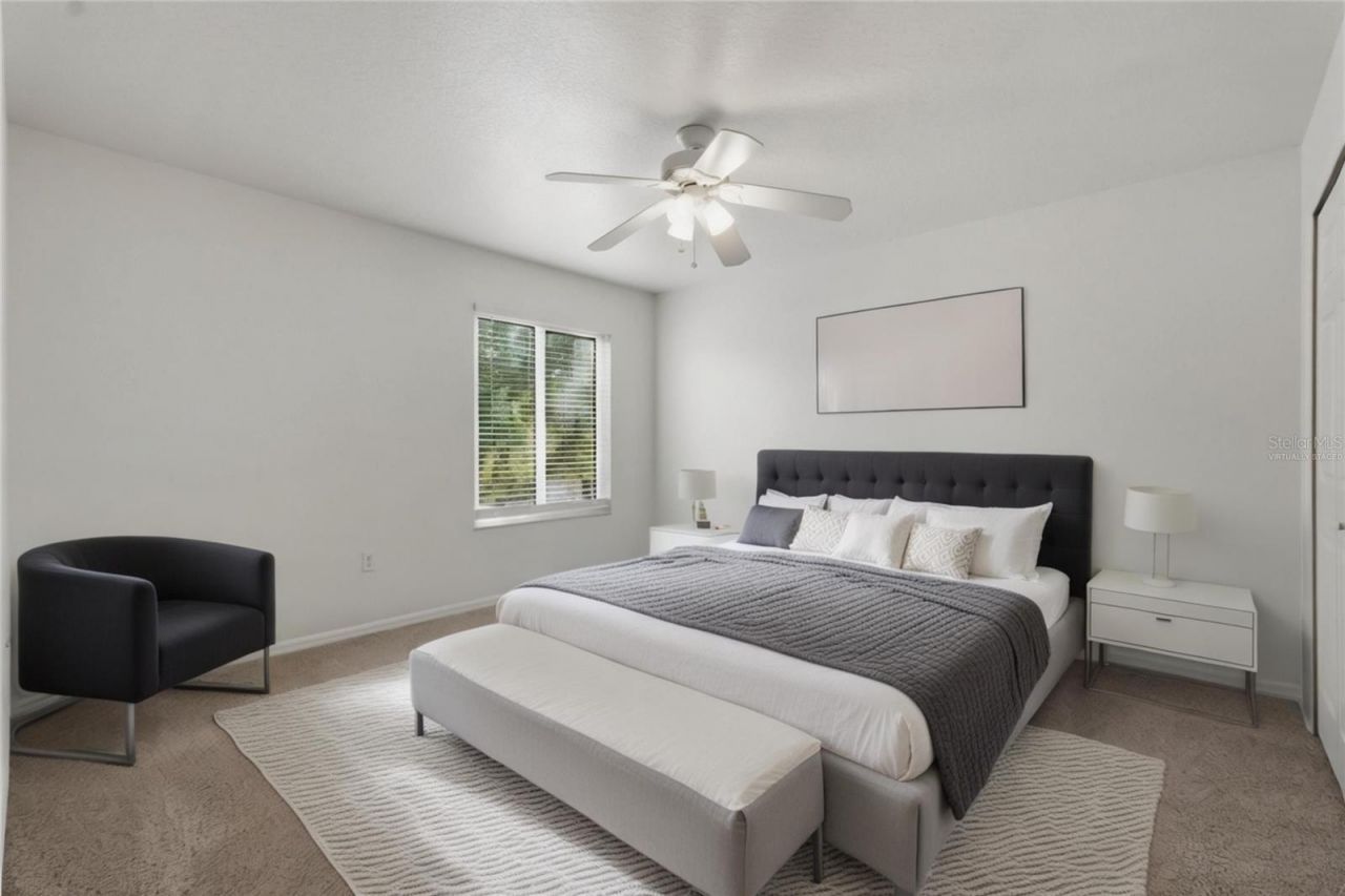 1734 Mapleleaf Boulevard, Oldsmar, FL 34677 Photo