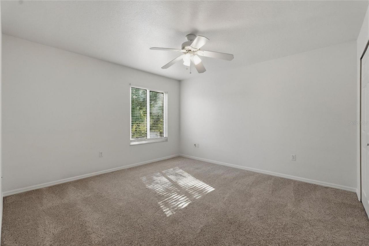 1734 Mapleleaf Boulevard, Oldsmar, FL 34677 Photo