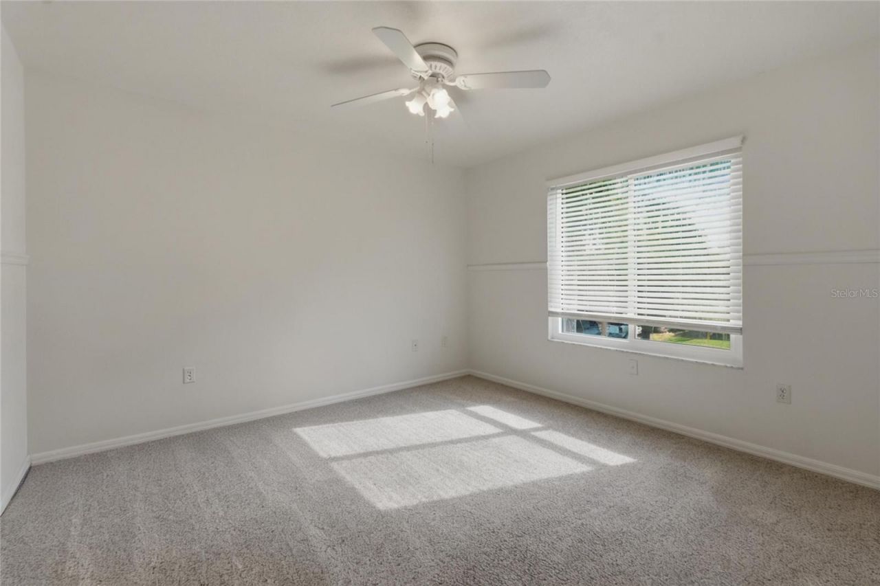 1734 Mapleleaf Boulevard, Oldsmar, FL 34677 Photo