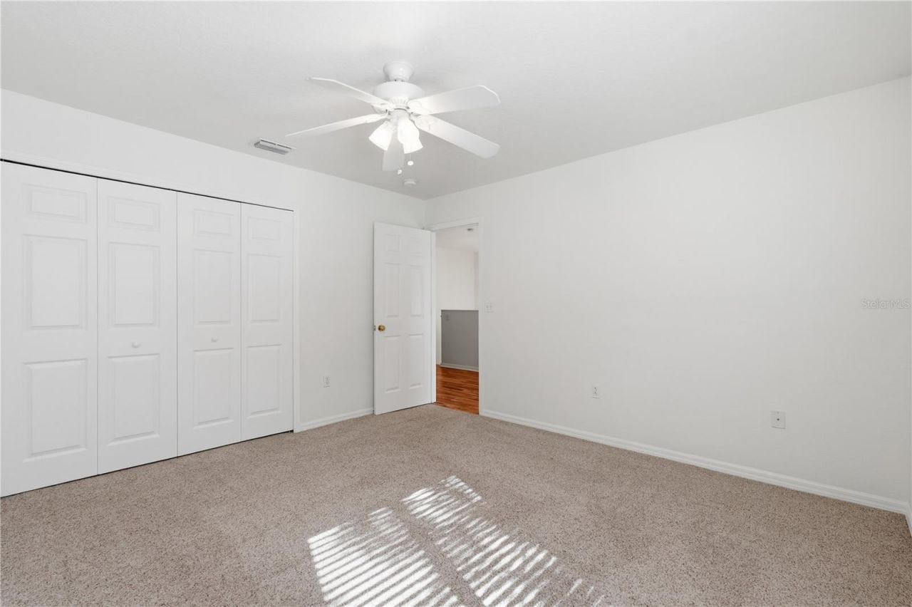 1734 Mapleleaf Boulevard, Oldsmar, FL 34677 Photo