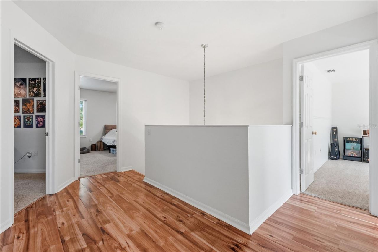 1734 Mapleleaf Boulevard, Oldsmar, FL 34677 Photo