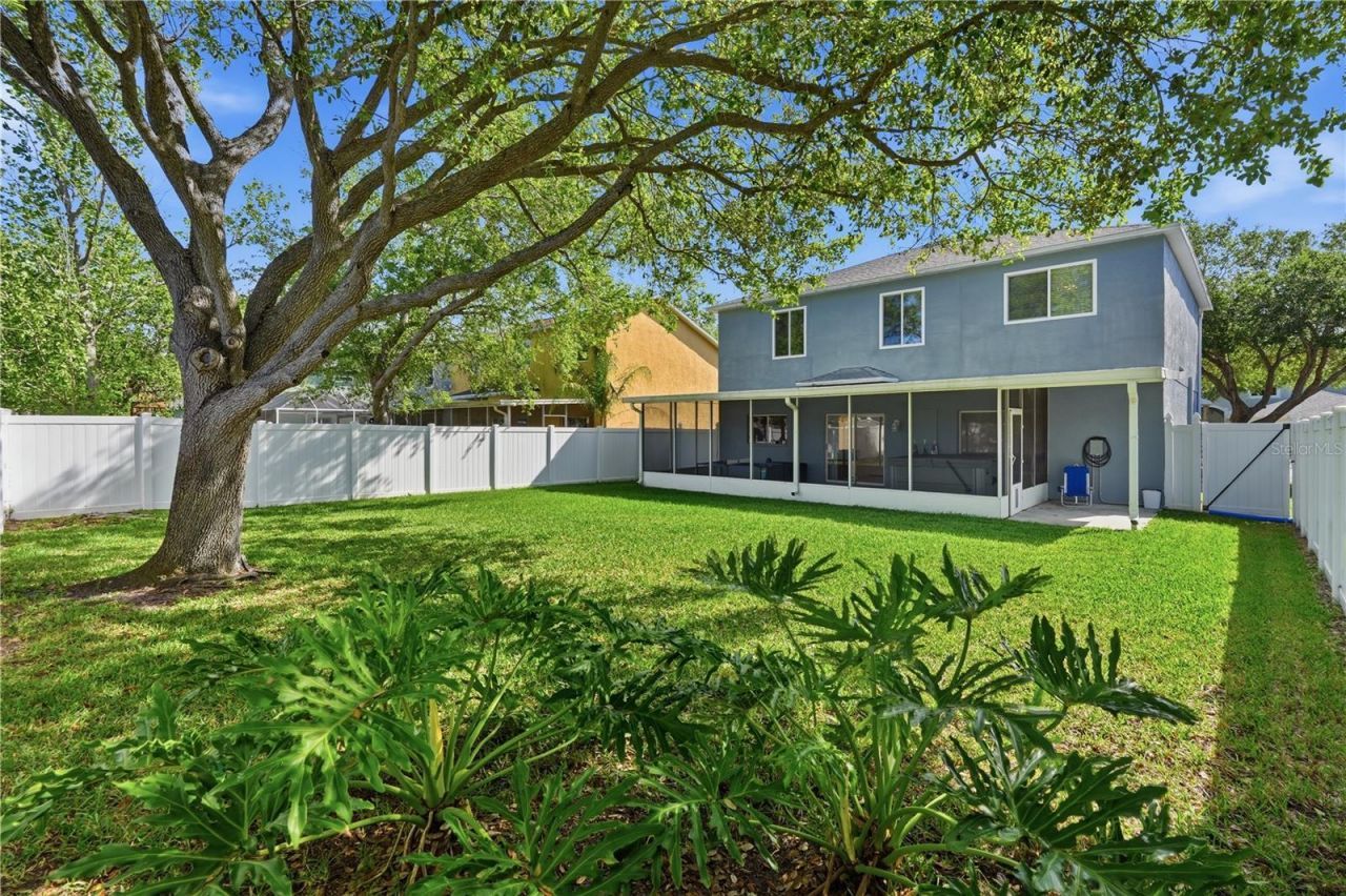 1734 Mapleleaf Boulevard, Oldsmar, FL 34677 Photo