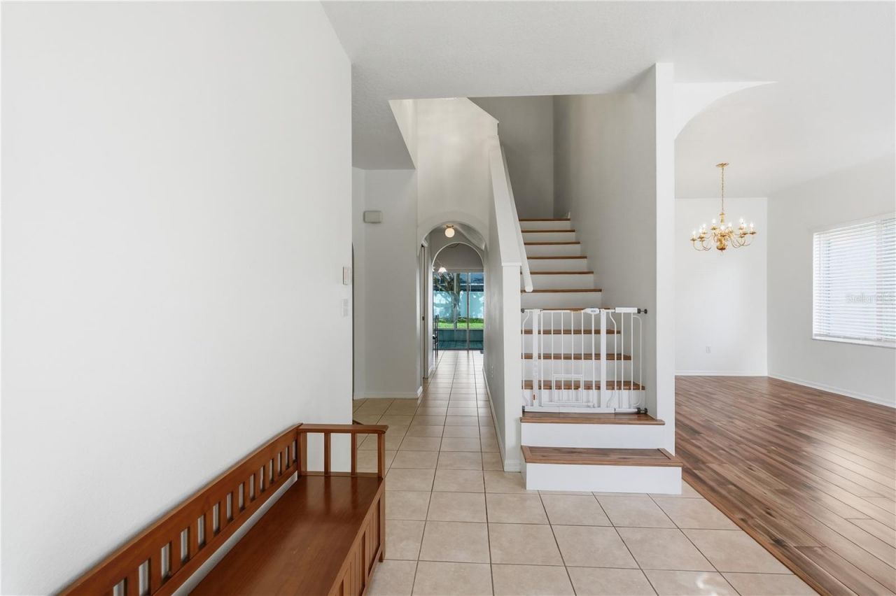 1734 Mapleleaf Boulevard, Oldsmar, FL 34677 Photo