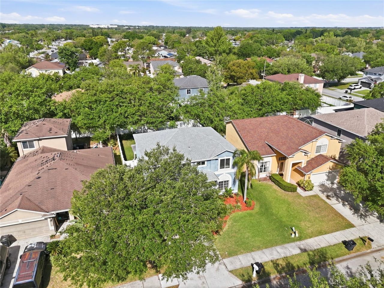 1734 Mapleleaf Boulevard, Oldsmar, FL 34677 Photo